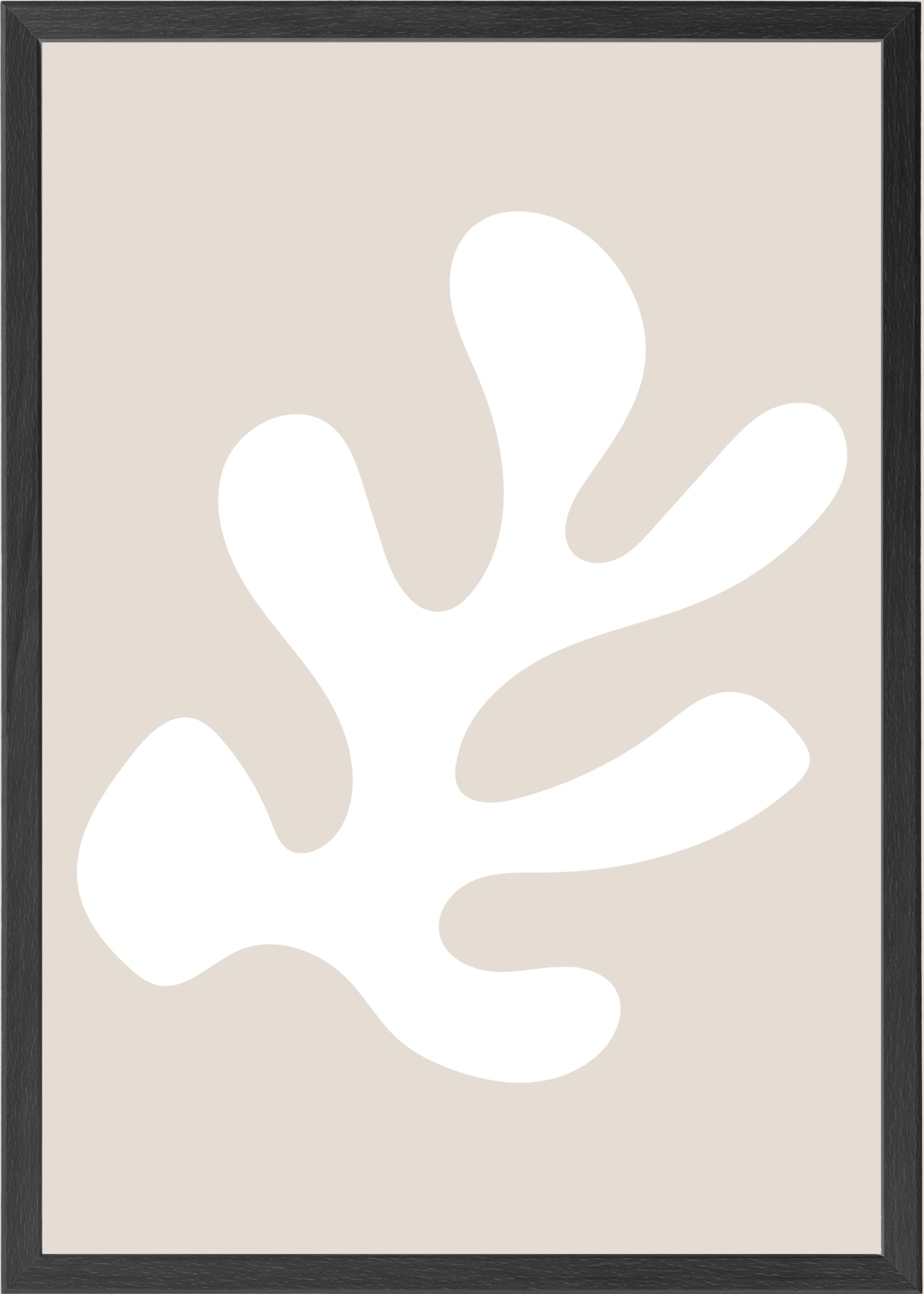 Soft Shape - Pure Flow